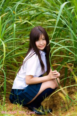 宠物连连看4.1